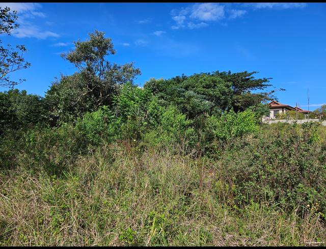 1,160M² VACANT LAND FOR SALE IN HAWAAN FOREST ESTATE